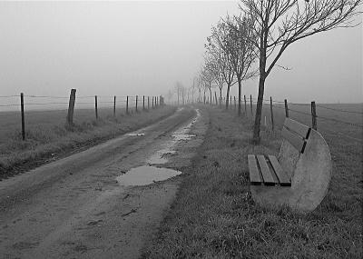 The bench in the fog