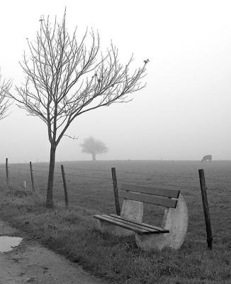 The bench in the fog (2)