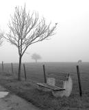 The bench in the fog (2)