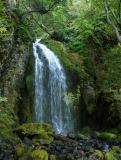 Cascade