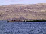 Windsurfing at Three Mile Canyon