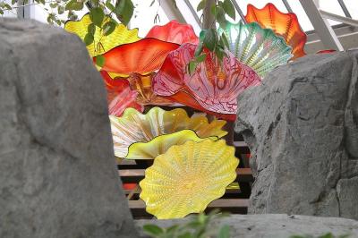 Chihuly Exhibit