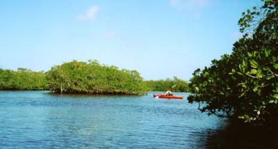 Kayaking
