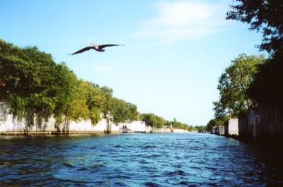 u49/jmhoying/medium/35939680.Photo091s.jpg