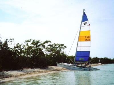 On Nest Key