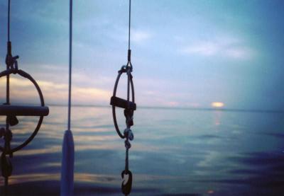 Calm sailing
