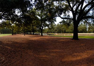 Herman Park.jpg