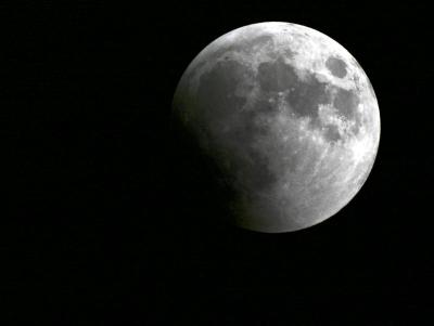 IMG_6229-----------adjusted.jpg