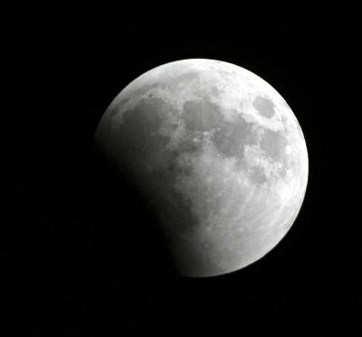 IMG_6238--------adjusted.jpg
