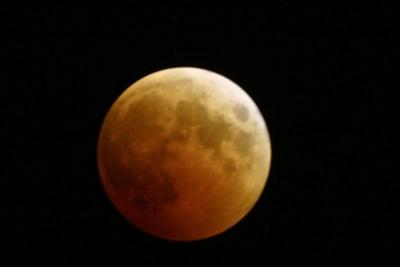 IMG_6302---adjusted.jpg
