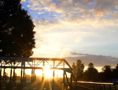 IMG_5747--------starting gate sunblast saratoga.jpg
