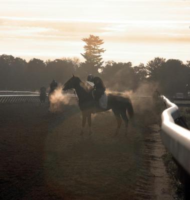 IMG_5787---------steaming horse.jpg