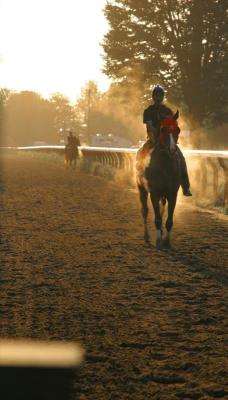 IMG_5788---another steaming horse.jpg