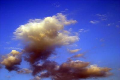 IMG_4099 cloned out dust and autolevel in ps_filtered with neatimage.jpg