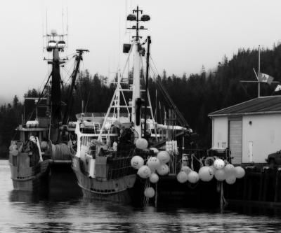 Black and White Fishing Boats