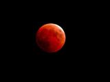 Blood Moon