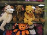 November 21 - bears