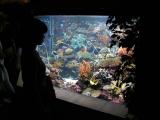 Within the Underwater World 01