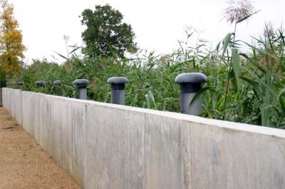 Bassins met riet om het water te zuiveren