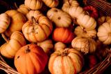 Basket Of Pumpkins