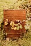 Barrel Of Grass