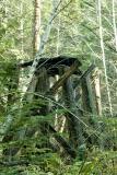 Old Rail Road Tressel