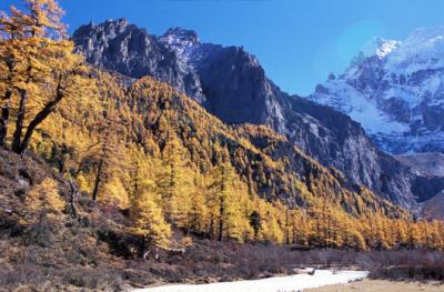 china1_7_26.jpg