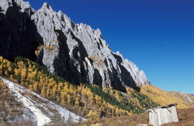 china1_8_29.jpg