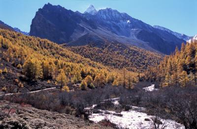china1_8_31.jpg