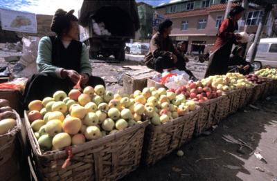 china1_10_19.jpg
