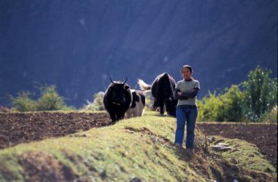china1_11_10.jpg