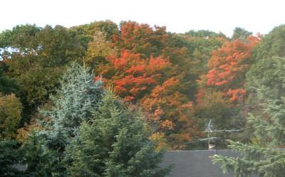 Bedroom Window   0606