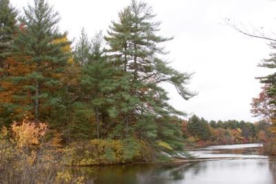 Reservior  Island   0951