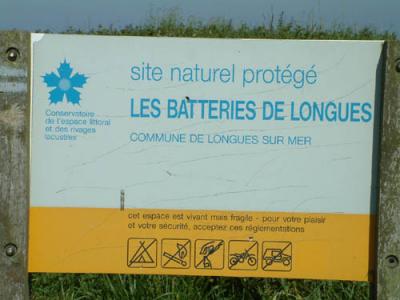 DSCF0617.JPG