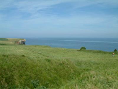 DSCF0629.JPG