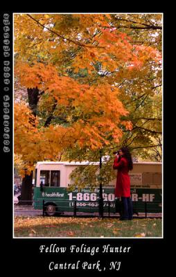 u49/kelster/medium/35950911.CentralParkFall11.jpg