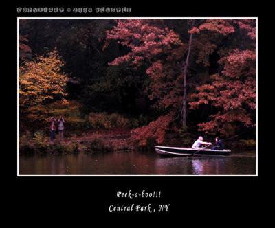 u49/kelster/medium/35950914.CentralParkFall14.jpg