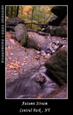 u49/kelster/medium/35950917.CentralParkFall17.jpg