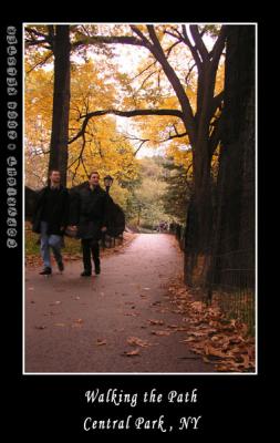 u49/kelster/medium/35950921.CentralParkFall3.jpg