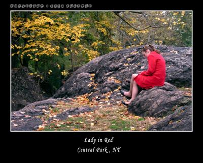 u49/kelster/medium/35950930.CentralParkFallLIR1.jpg