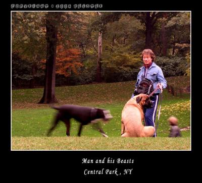 u49/kelster/medium/35950933.CentralParkFallManBeast.jpg
