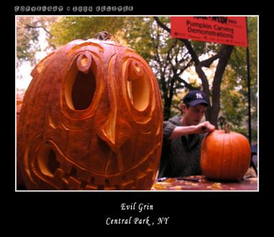 u49/kelster/medium/35950935.CentralParkPumpkinSmile.jpg