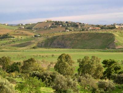 Bucolic Scene Adjacent to the Ruins.jpg