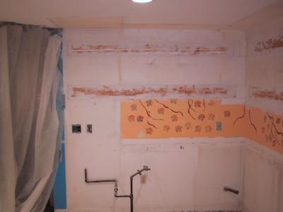 Day 3 - Plywood backing is in place
