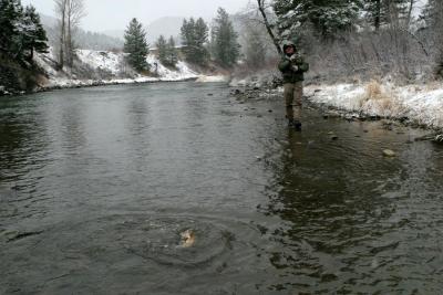 Playing a Fish 3