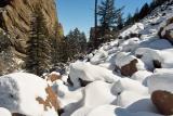 Rockpile Snow 