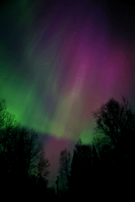 lights1.gif