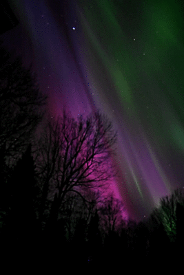 lights5.gif