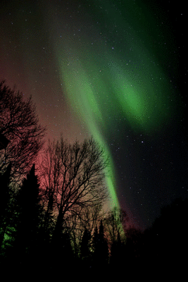 lights10.gif