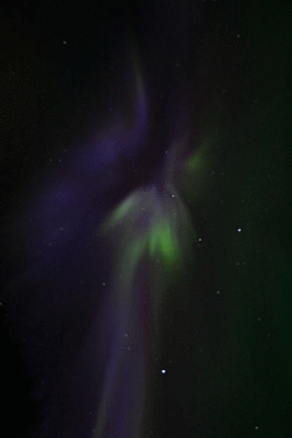 lights15.gif